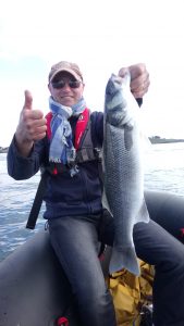 Bar prit dans le Golfe du Morbihan par Mickaël