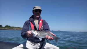 Guide de pêche Golfe du Morbihan- Sortie pêche Golfe du Morbihan- Sortie pêche en mer en bateau- Stage de pêche au bar et dorade à Sarzeau