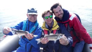 Guide de pêche Golfe du Morbihan- Sortie pêche Golfe du Morbihan- Sortie pêche en mer en bateau- Stage de pêche au bar et dorade à Sarzeau