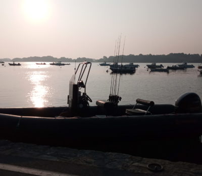 Sortie peche en mer en bateau dans le Golfe du Morbihan, avec Mickaël RIO, moniteur guide de pêche