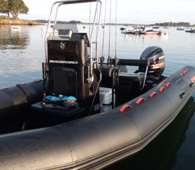 Sortie peche en mer en bateau dans le Golfe du Morbihan, avec Mickaël RIO, moniteur guide de pêche