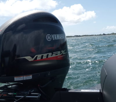 Sortie pêche en mer en bateau dans le Golfe du Morbihan, avec Mickaël RIO, moniteur guide de pêche professionnel